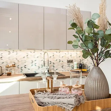 Luxurious 3 Bedroom In The Old Town Praha