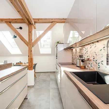 Luxurious 3 Bedroom In The Old Town Prague